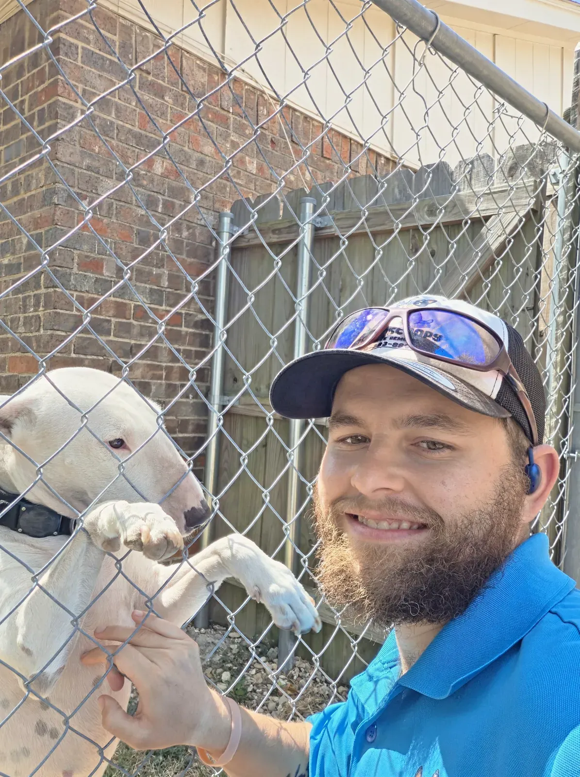 A customer's bull terrier with both paws up on the fence to greet Brandon