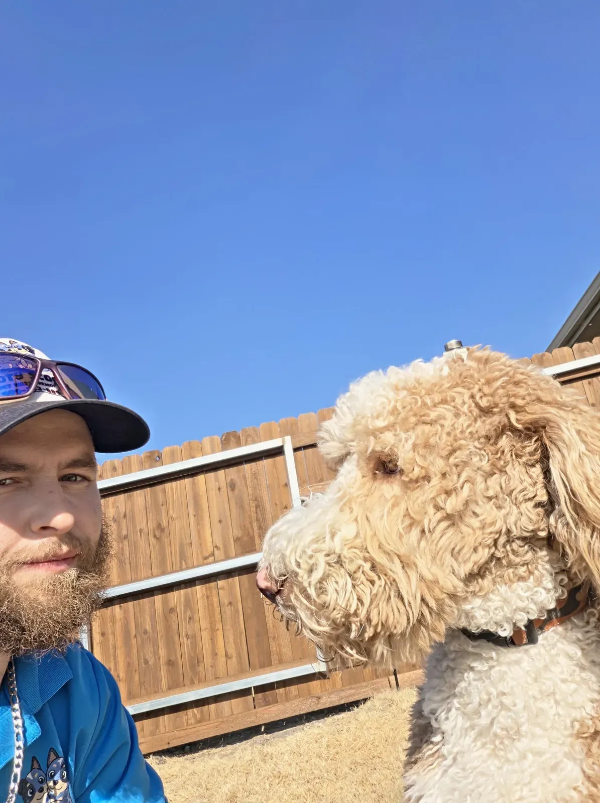 A customer's curly doodle saying hello to Brandon at the fence on a sunny day