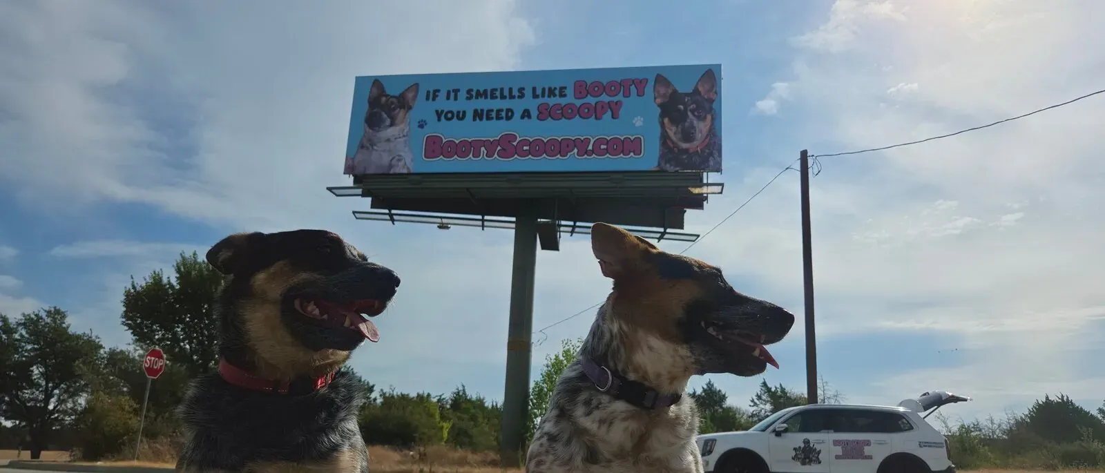 The family heelers under the If it smells like Booty, you need a Scoopy billboard
