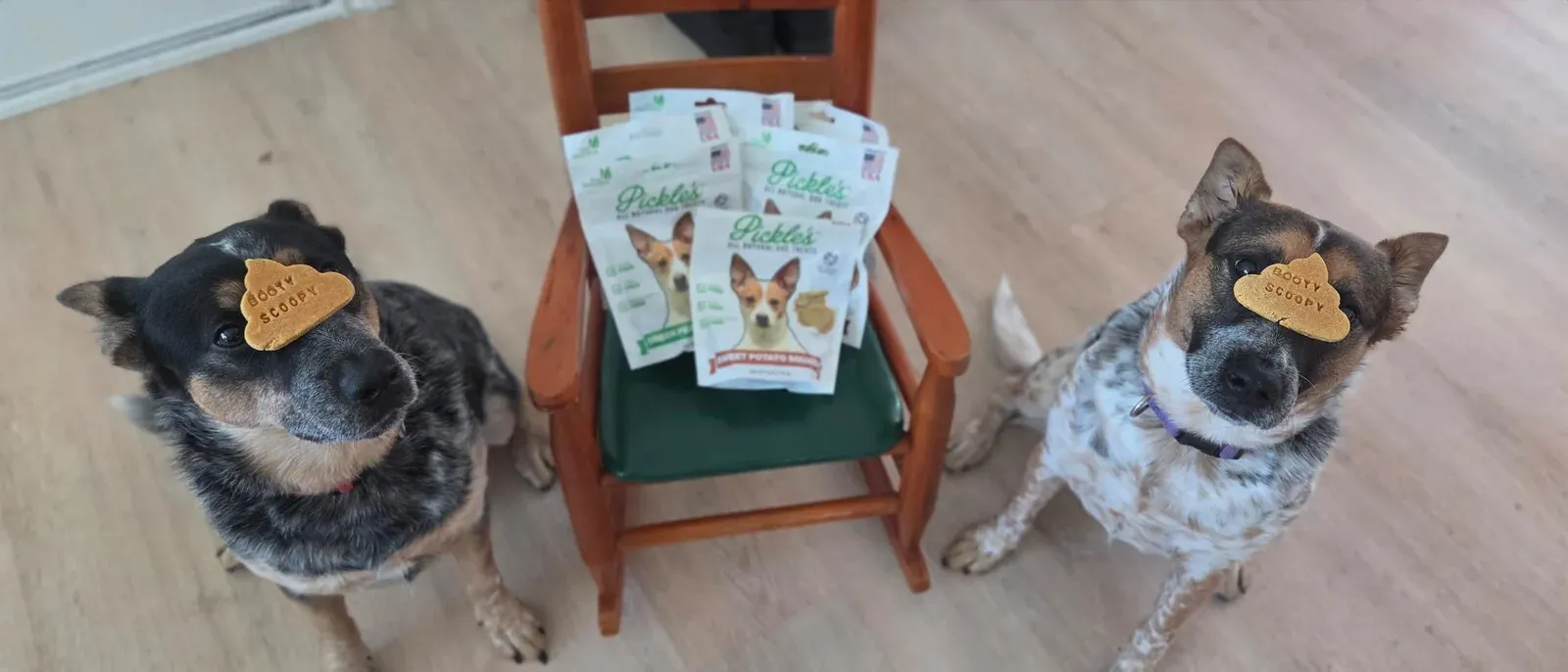 The family heelers with bags of Pickles Dog Treats on a little chair